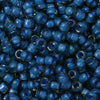 8/O Japanese Seed Beads Fancy 387F - Beads Gone Wild
