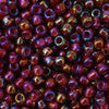 8/O Japanese Seed Beads Fancy 389A - Beads Gone Wild