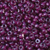 15/O Japanese Seed Beads Fancy 395A - Beads Gone Wild