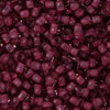6/O Japanese Seed Beads Fancy 395E - Beads Gone Wild
