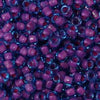 6/O Japanese Seed Beads Fancy 399 - Beads Gone Wild