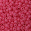 15/O Japanese Seed Beads Opaque 415C npf - Beads Gone Wild