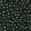 6/O Japanese Seed Beads Metallic 453 - Beads Gone Wild