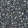 6/O Japanese Seed Beads Alabaster Silverlined 576 npf - Beads Gone Wild