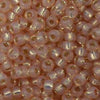 6/O Japanese Seed Beads Alabaster Silverlined 580A npf - Beads Gone Wild