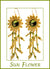 Sun Flower Beaded Earring Kit