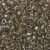 8/O Japanese Seed Beads Fancy Shine 703 - Beads Gone Wild