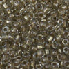6/O Japanese Seed Beads Fancy Shine 703 - Beads Gone Wild