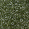 6/O Japanese Seed Beads Fancy Shine 707 - Beads Gone Wild
