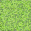 11/o Delica DB 0169 Lime OPR