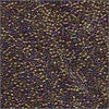 10/o Delica DBM 0029 Metallic Purple / Gold Iris - Beads Gone Wild