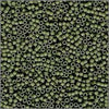11/o Delica DB 0391 Asparagus MA
