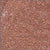 10/o Delica DBM 0054 Lined Peach AB - Beads Gone Wild
