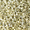 10/o Delica DBM 1831 Silver - Beads Gone Wild
