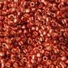 10/o Delica DBM 1838 Berry - Beads Gone Wild