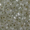 6/O Japanese Seed Beads Frosted F1 - Beads Gone Wild