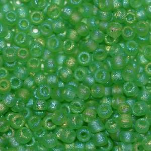 15/O Japanese Seed Beads Frosted F258A - Beads Gone Wild
