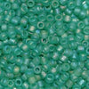 6/O Japanese Seed Beads Frosted F259 - Beads Gone Wild