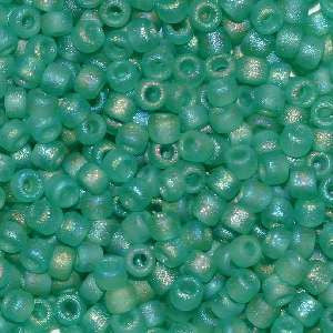 6/O Japanese Seed Beads Frosted F259 - Beads Gone Wild
