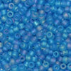 6/O Japanese Seed Beads Frosted F261A - Beads Gone Wild