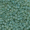 8/O Japanese Seed Beads Frosted F374G - Beads Gone Wild