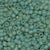 6/O Japanese Seed Beads Frosted F374G - Beads Gone Wild
