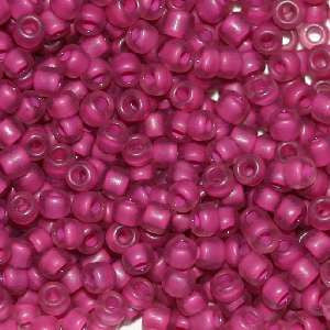 6/O Japanese Seed Beads Frosted F399D - Beads Gone Wild
