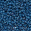 8/O Japanese Seed Beads Frosted F399N - Beads Gone Wild