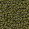 8/O Japanese Seed Beads Frosted F399Z - Beads Gone Wild