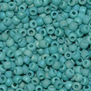 6/O Japanese Seed Beads Frosted F430R - Beads Gone Wild
