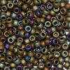 8/O Japanese Seed Beads Frosted F455B - Beads Gone Wild