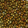 6/O Japanese Seed Beads Frosted F460R - Beads Gone Wild