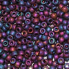 6/O Japanese Seed Beads Frosted F460T - Beads Gone Wild