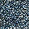 6/O Japanese Seed Beads Frosted F460X - Beads Gone Wild