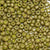 6/O Japanese Seed Beads Frosted F463I - Beads Gone Wild
