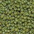 15/O Japanese Seed Beads Frosted F463R - Beads Gone Wild
