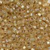 15/O Japanese Seed Beads Frosted F634A - Beads Gone Wild