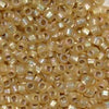 15/O Japanese Seed Beads Frosted F634A - Beads Gone Wild