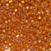 15/O Japanese Seed Beads Frosted F634 - Beads Gone Wild