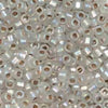 8/O Japanese Seed Beads Frosted F635 - Beads Gone Wild