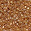 8/O Japanese Seed Beads Frosted F637 - Beads Gone Wild