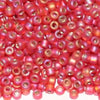 8/O Japanese Seed Beads Frosted F638 - Beads Gone Wild