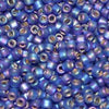 8/O Japanese Seed Beads Frosted F641 - Beads Gone Wild