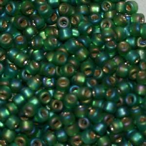 6/O Japanese Seed Beads Frosted F646 - Beads Gone Wild
