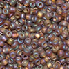 6/O Japanese Seed Beads Frosted F648 - Beads Gone Wild