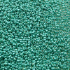 15/o Japanese Seed Beads Permanent P474 - Beads Gone Wild