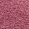 15/o Japanese Seed Beads Permanent P476 - Beads Gone Wild