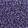 15/O Japanese Seed Beads Permanent P479 - Beads Gone Wild