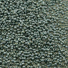 15/o Japanese Seed Beads Permanent P480 - Beads Gone Wild