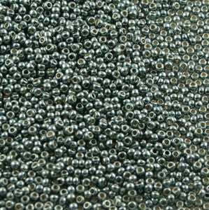15/o Japanese Seed Beads Permanent P480 - Beads Gone Wild
